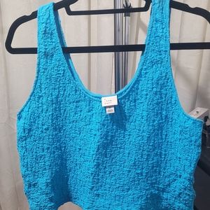 Women extra large  blouse, blue, NWOT